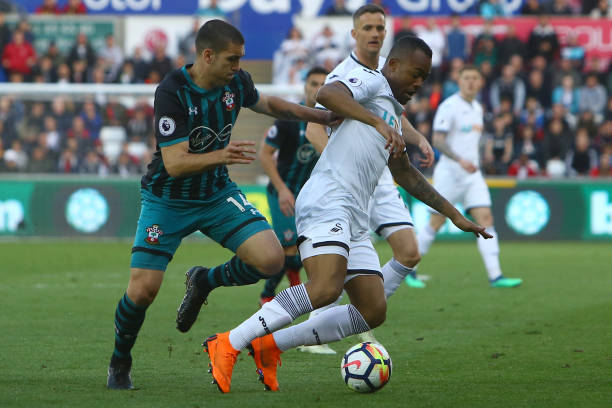 在各项冠军 在各项冠军