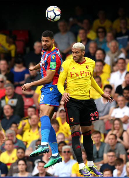 绿茵场上的 绿茵场上的